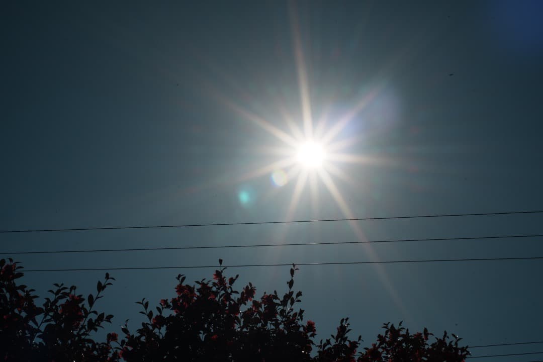 美品 AF Ai Micor-Nikkor 60mm F2.8D 721