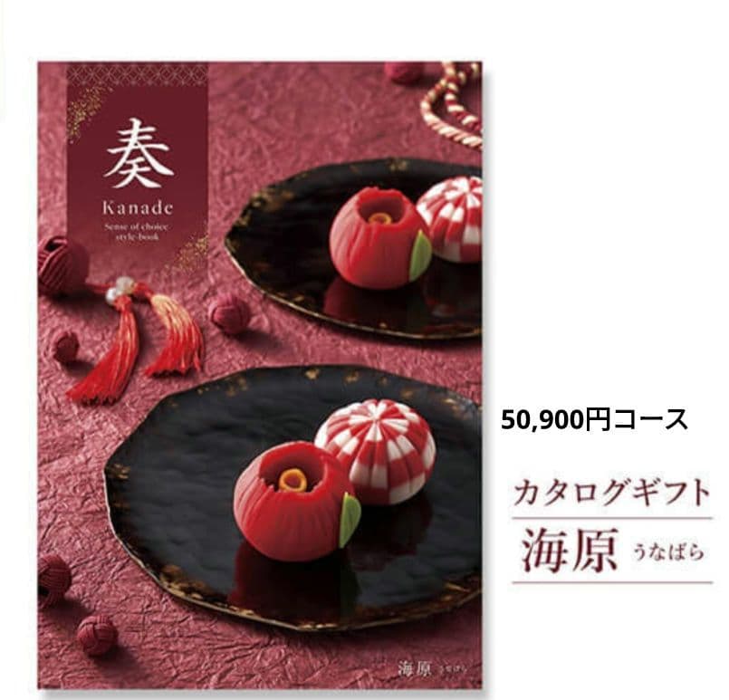 カタログギフト 卒業 記念 進級 進学 新生活 海原 御祝 お返し 新品