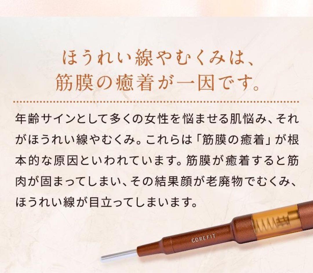 ★限定値下げ★リニューアル【新品未開封】コアフィット フェイスポインター2