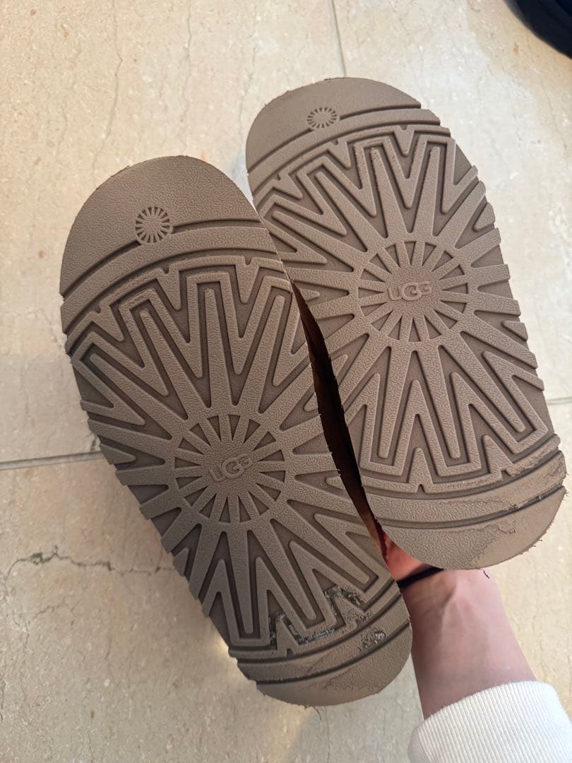 Ugg アグ タズ スリッポン チェスナット 23cm