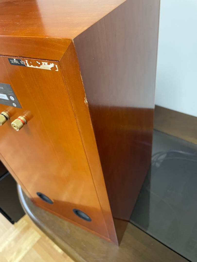 ビクター Victor SX-500 DOLCE ETERNO