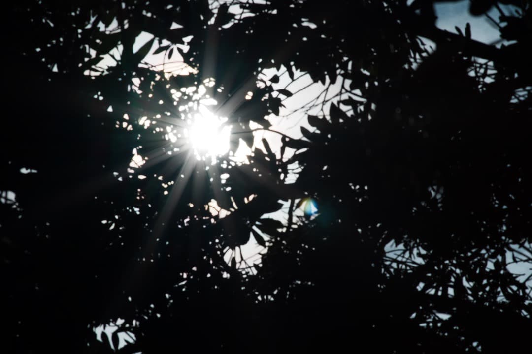 【ボケビースト】動作◎ ニコン Ai-s Nikkor 135mm F2 153