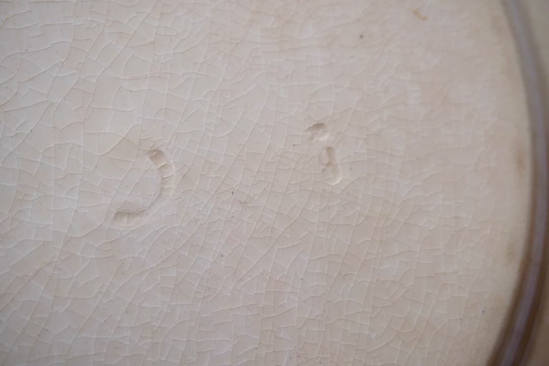 フランス アンティーク クレイユモントロー オクトゴナルプレート 陶器 平皿⑥