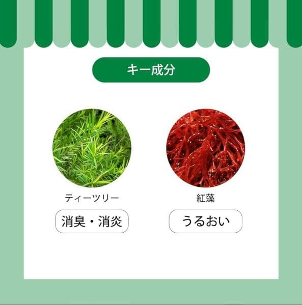 A.P.D.C. Tea Tree Shampoo 5L ティーツリーシャンプー