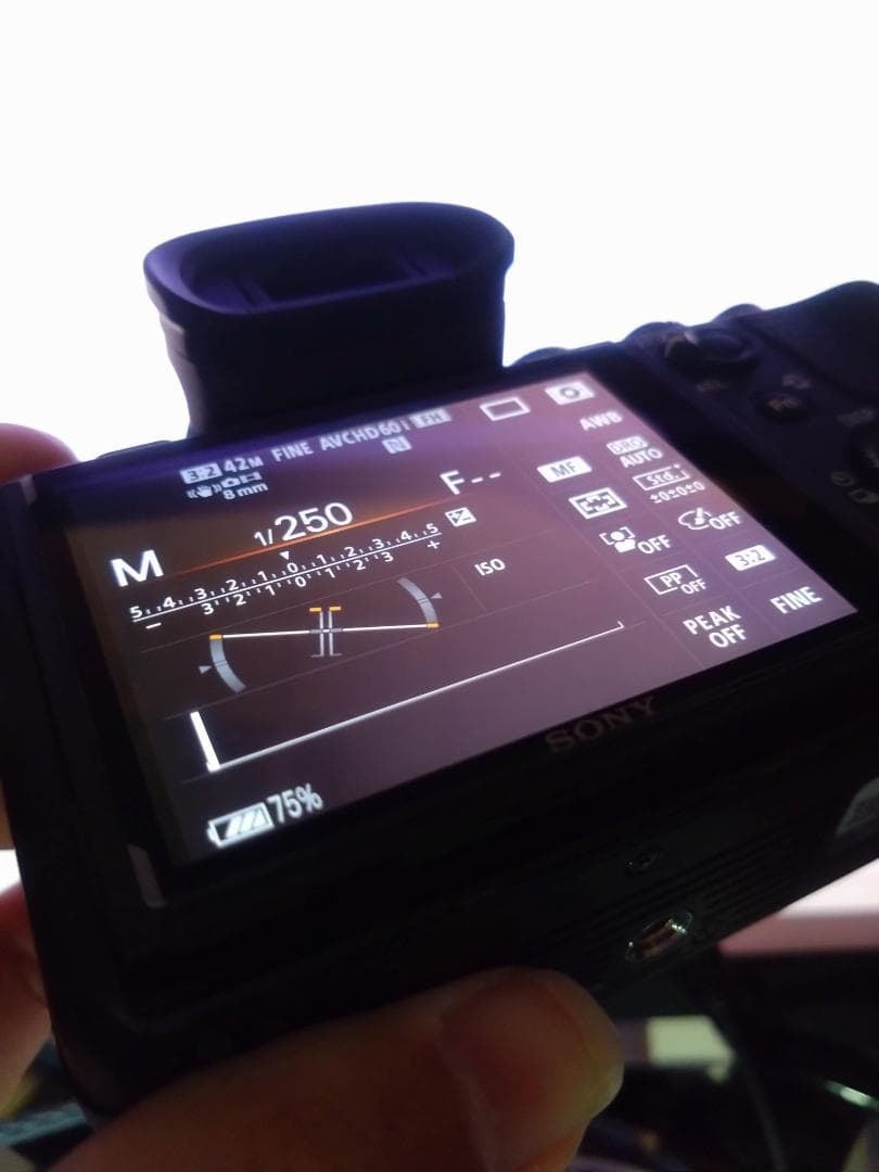 【美】SONY α7RⅡ[8,683枚] フルサイズミラーレス 一眼