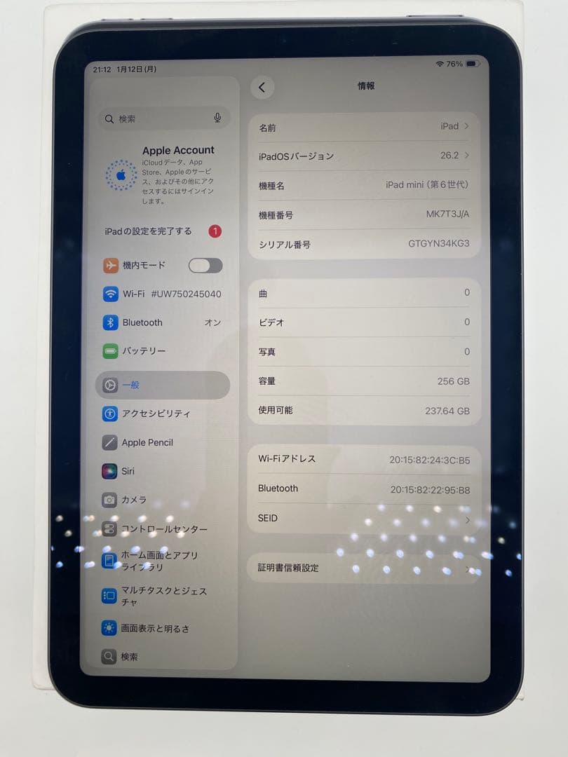 Apple iPad mini (青色) 本体