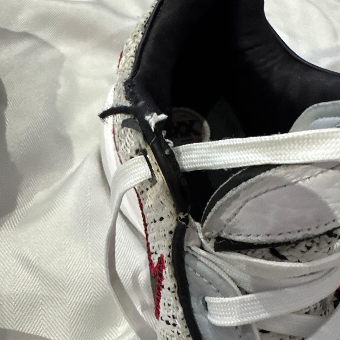 NIKE LEBRON 20 EP サイズ30cm