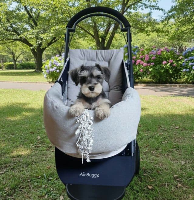 ❤３点セット❤年中使える❤ペットカートコンフォーター＆ライナー＆ピロー　エクリュ