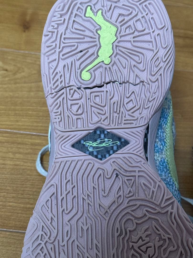 NIKE レブロン20