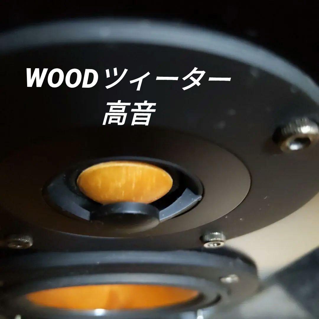 ふ*み様 希少良品 ビクター EX-AR5 ウッドコーンスピーカー システムコン