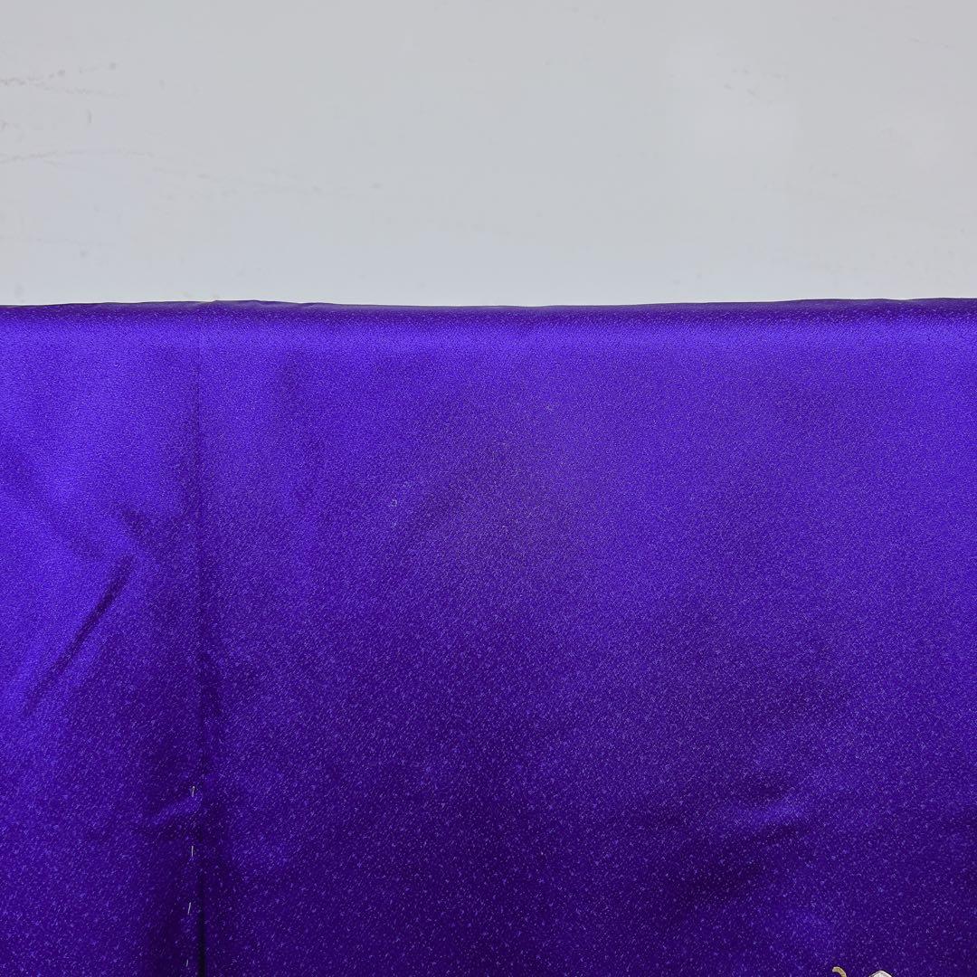 振袖　金彩　彩箔　蝶　牡丹　撫子　菖蒲　桔梗　晴れの日　成人式　着物　013tz