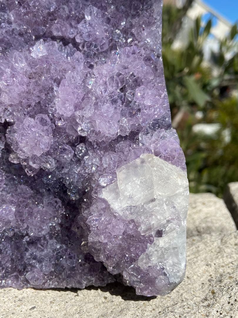 【開運・浄化】ウルグアイ産！アメジストドーム⭐花付⭐カルサイト共生N104