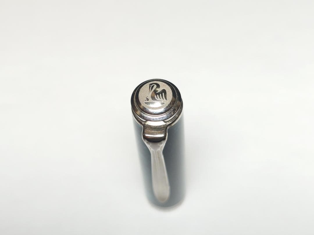 Pelikan 特別生産品 スーベレーン M805 オーシャンスワール BB