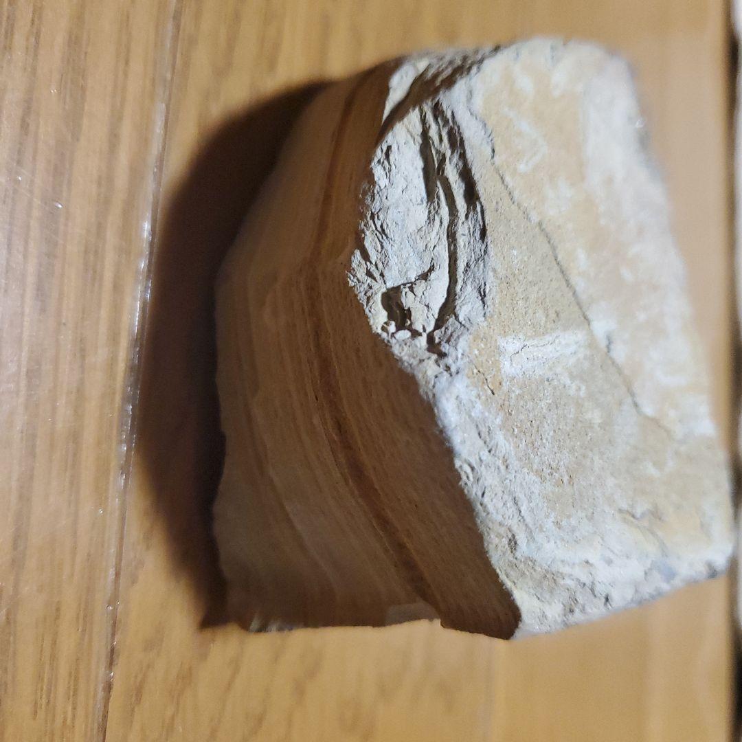 化石