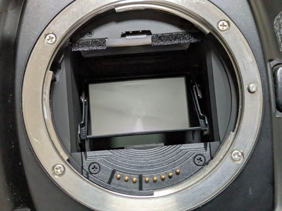 Canon　EOS-1N