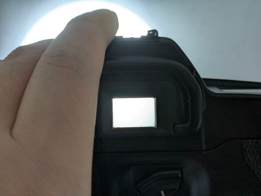 Canon　EOS-1N