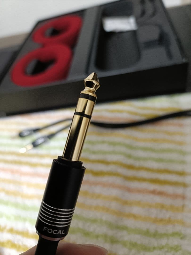 ヘッドホン Focal Clear MG Pro