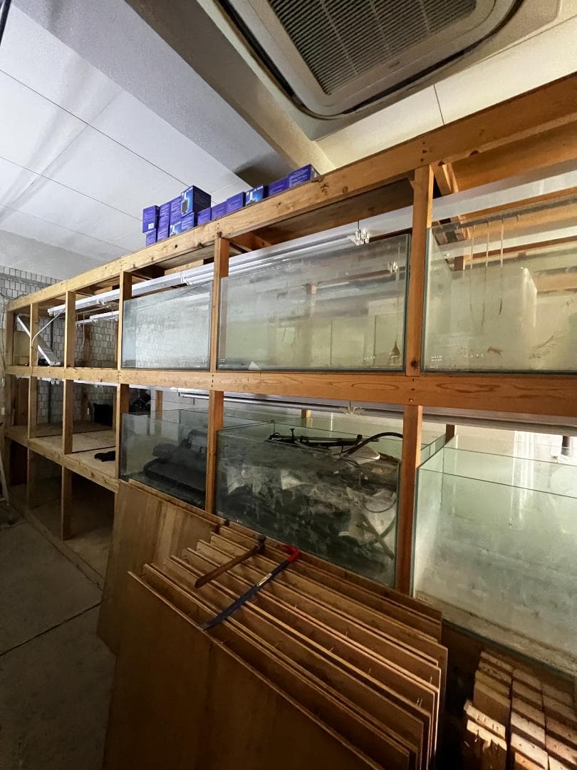 ガラス水槽 使用済品 中古 汚れあり 引き取り限定(埼玉)