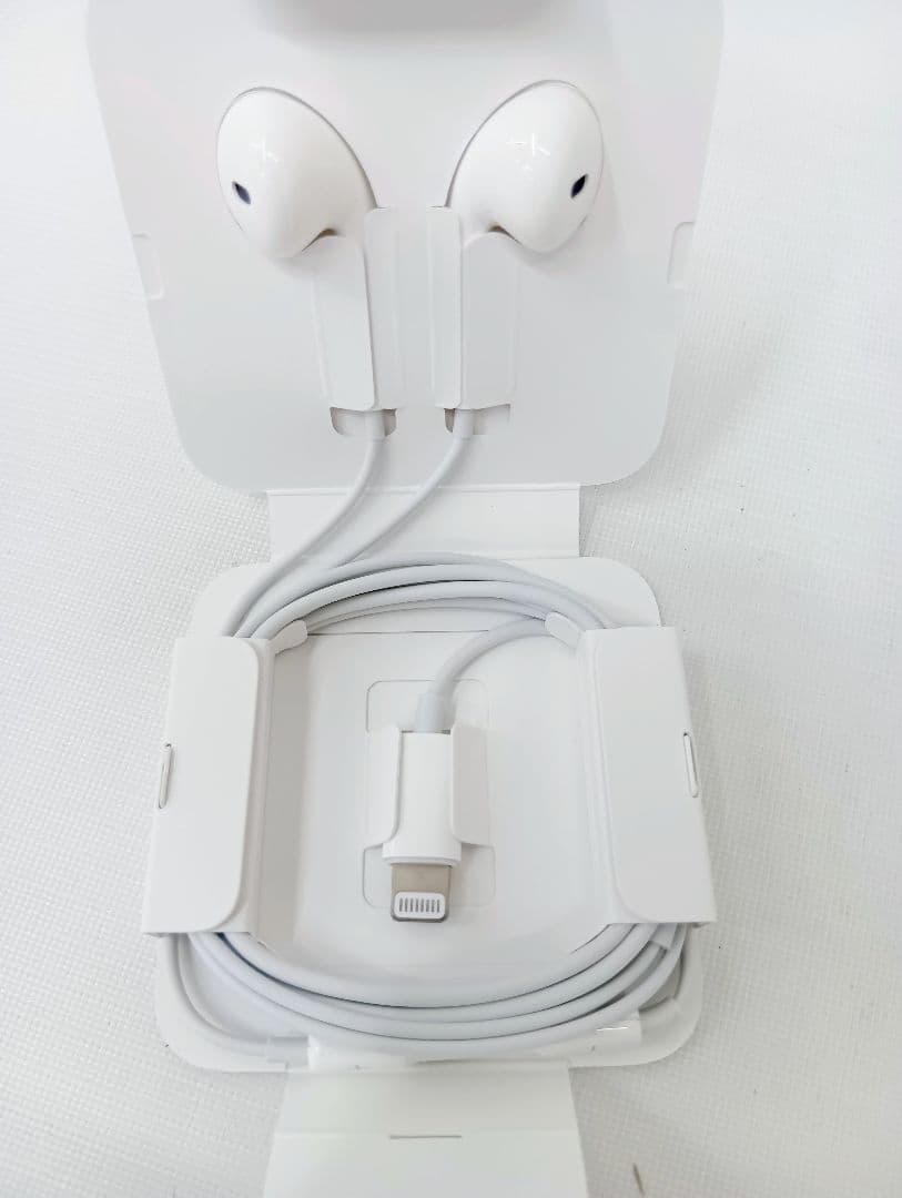 〘美品〙Apple iPhone SE　64GB　本体・充電器・イヤホン付きYK