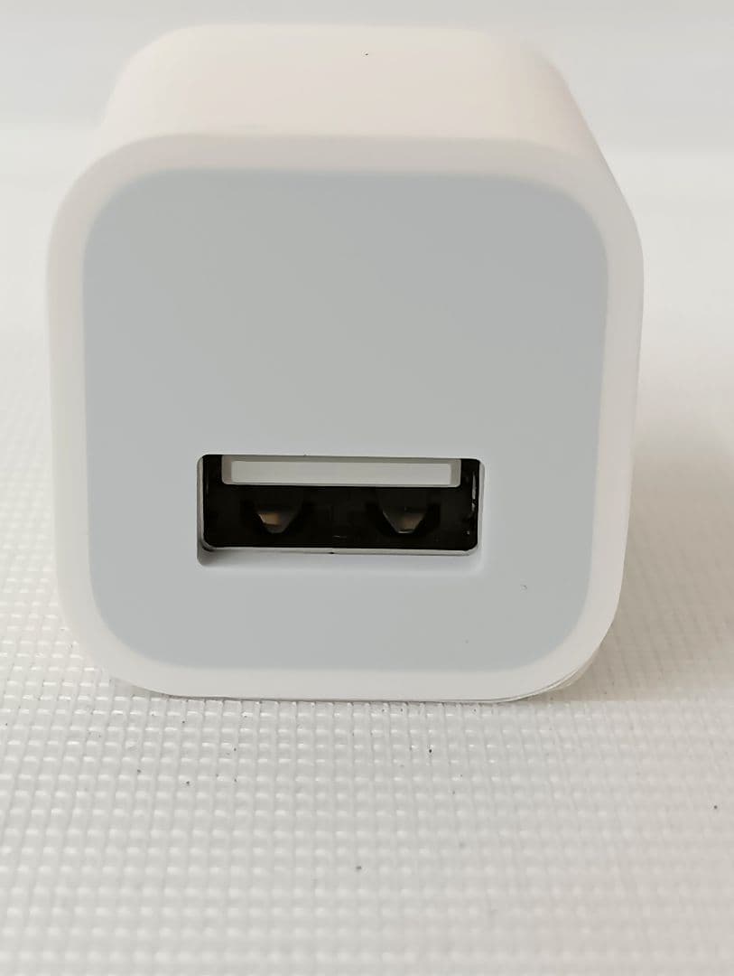 〘美品〙Apple iPhone SE　64GB　本体・充電器・イヤホン付きYK