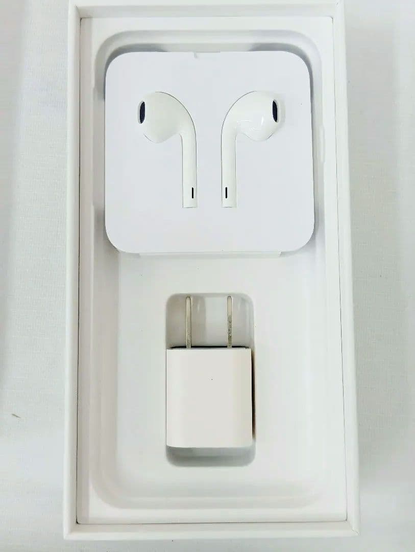 〘美品〙Apple iPhone SE　64GB　本体・充電器・イヤホン付きYK