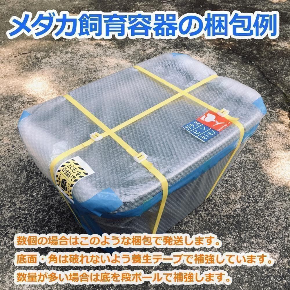 【訳あり特価】メダカ飼育ケース 56㍑訳あり品黒x1個 + 36㍑通常品x4個