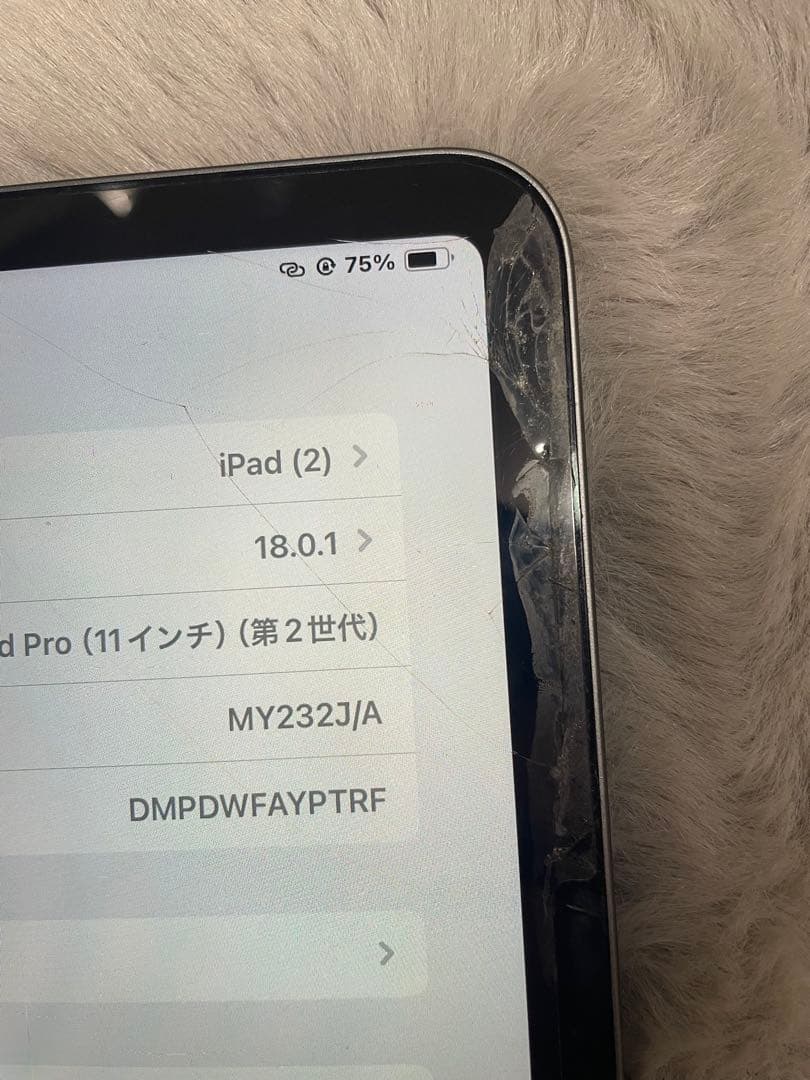 Apple iPad Pro (11インチ) 第2世代
