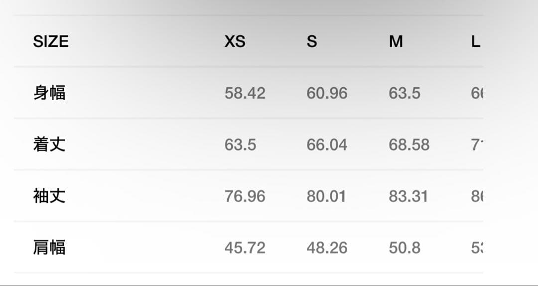 Stussy シェルジャケット 黒