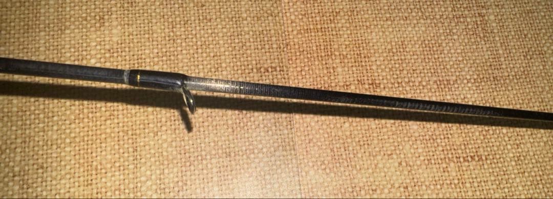 ダイワ　シーバス　ロッド