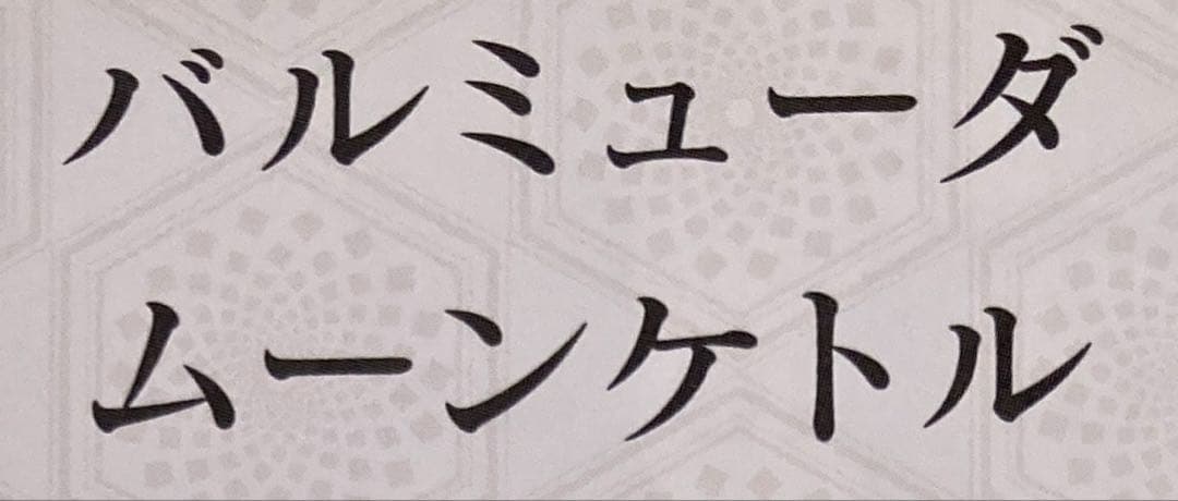 BALMUDA Moon Kettle 電気ケトル