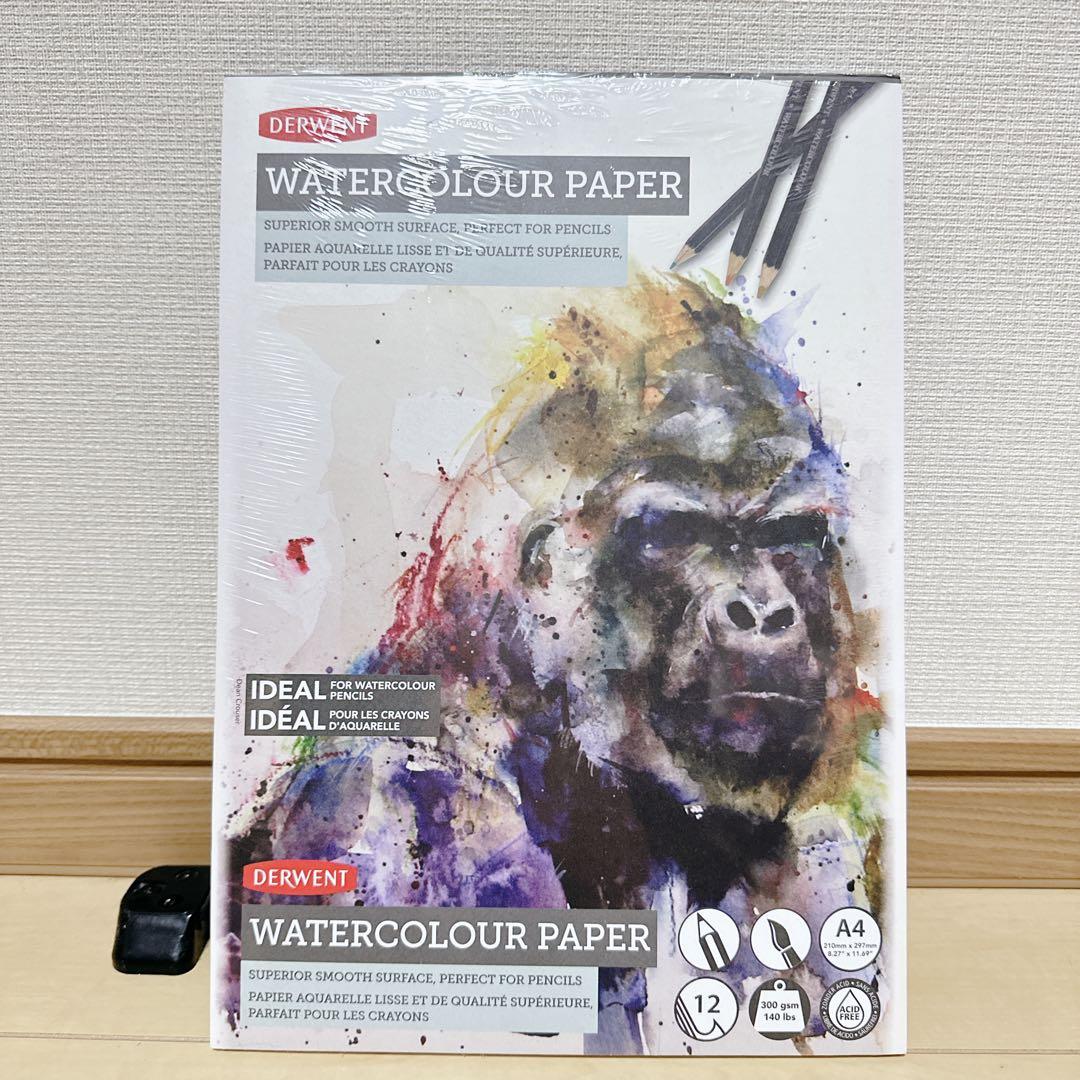 未使用 DERWENT Inktense24色 水彩色鉛筆 画材6点セット