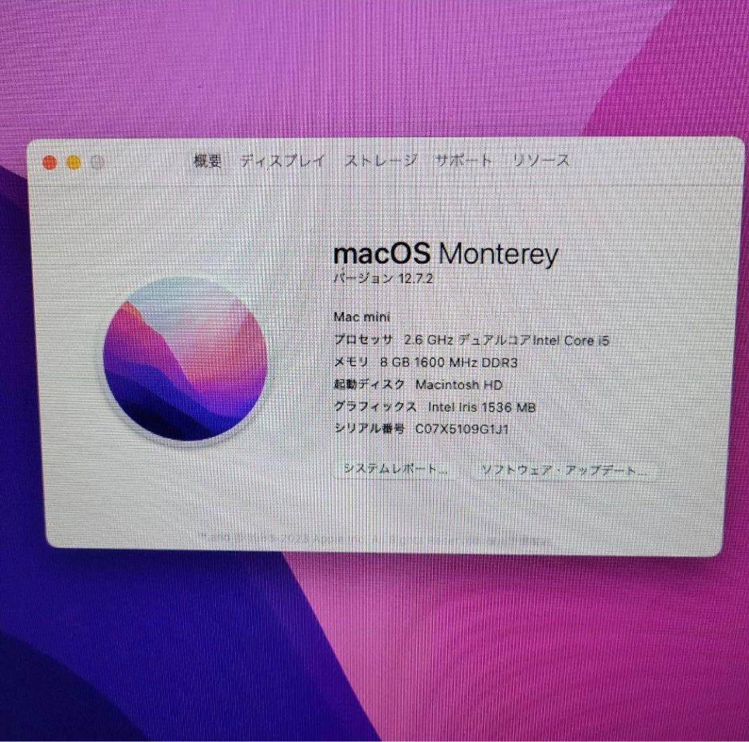 Mac mini SSD256GB/HDD1TB/メモリ8GB
