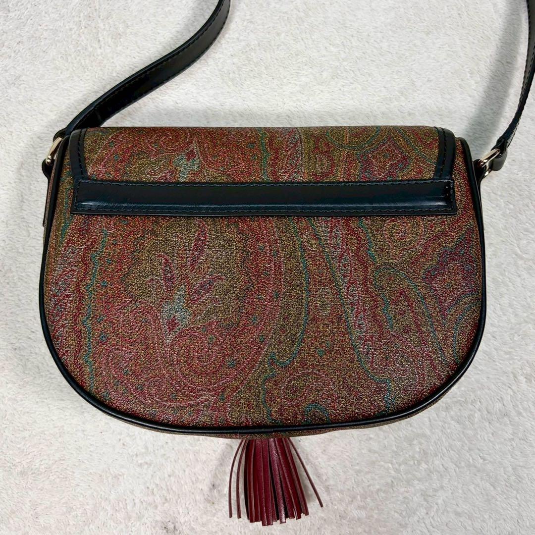 【未使用級✨】エトロ ショルダー　タッセル ペイズリー柄 レザー PVC ミニ