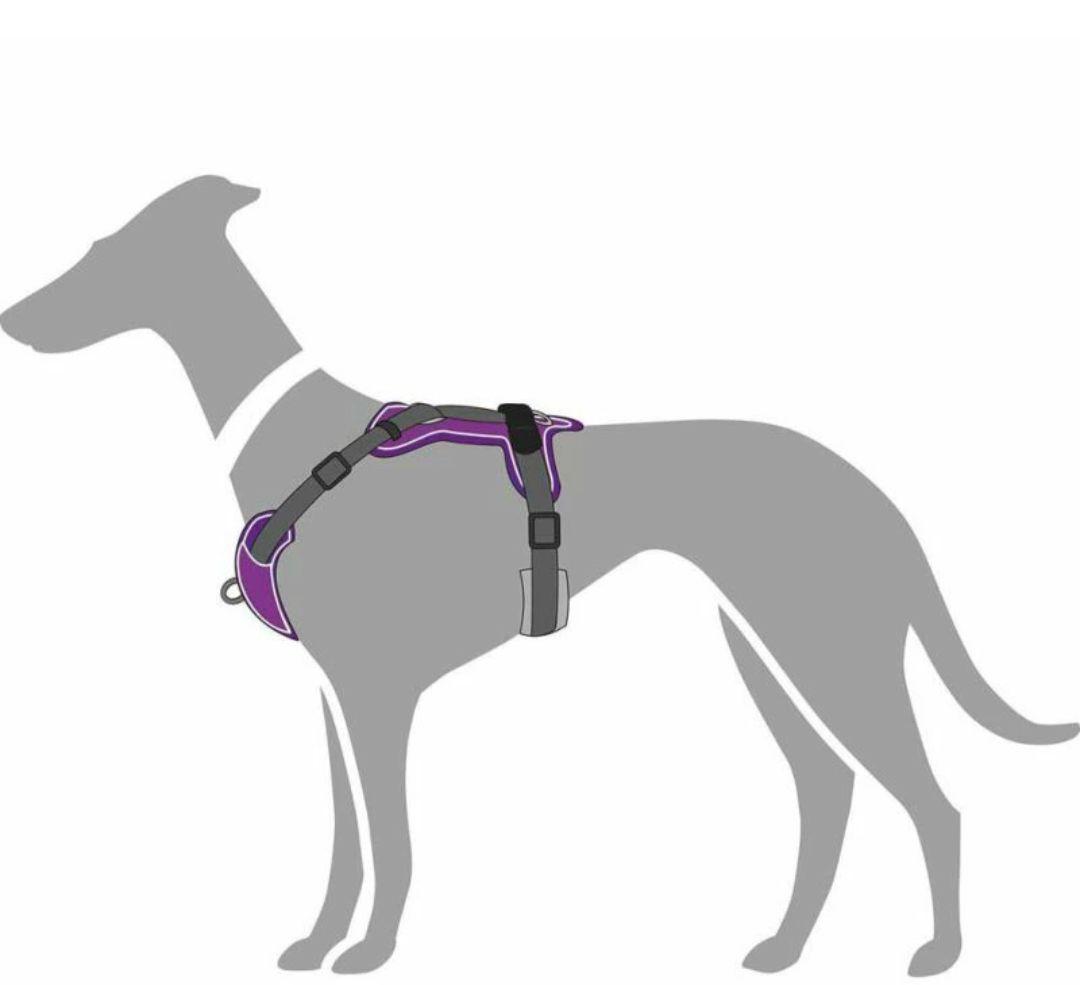 HUNTER メッシュハーネス Sサイズ