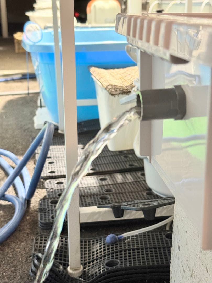 ★お買い得★たらい36L(4個)メダカ飼育容器オーバーフロー トロ舟プラ舟めだか