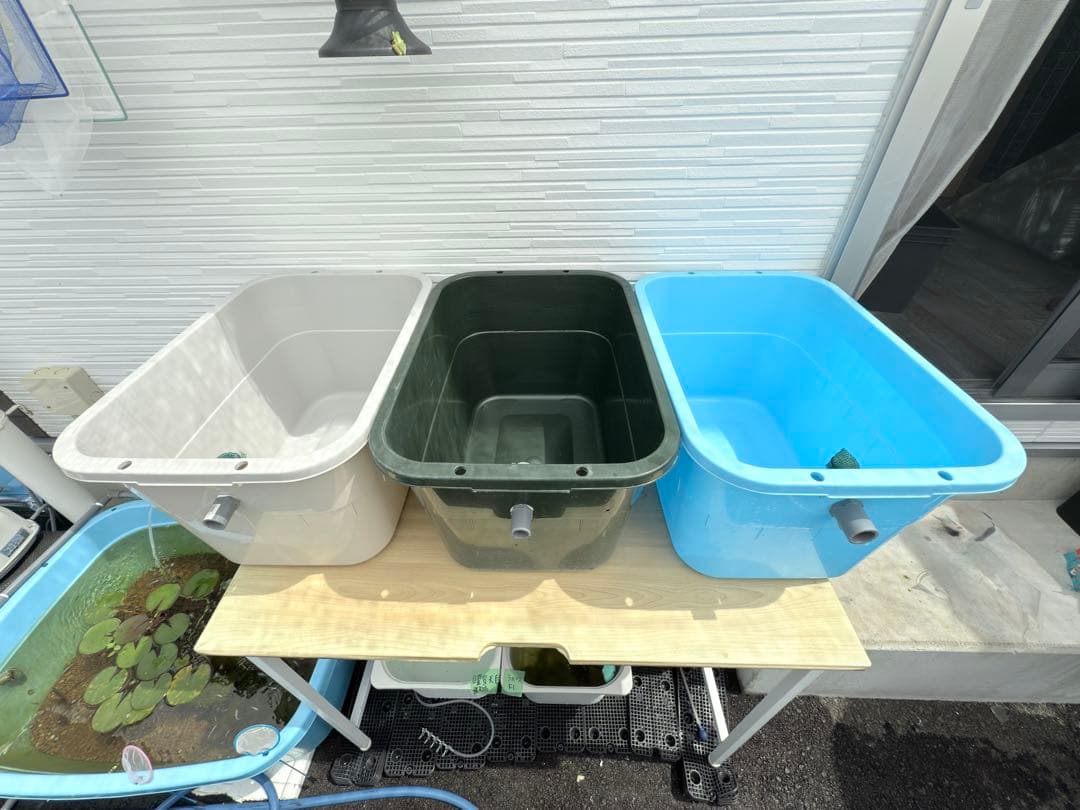 ★お買い得★たらい36L(4個)メダカ飼育容器オーバーフロー トロ舟プラ舟めだか