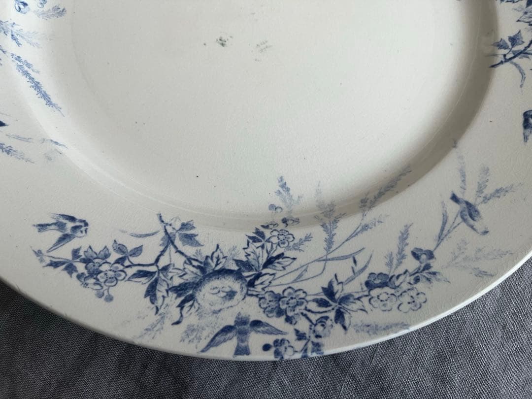 ＊希少＊ 大皿 Creil et Montereau LINOTTE リノット