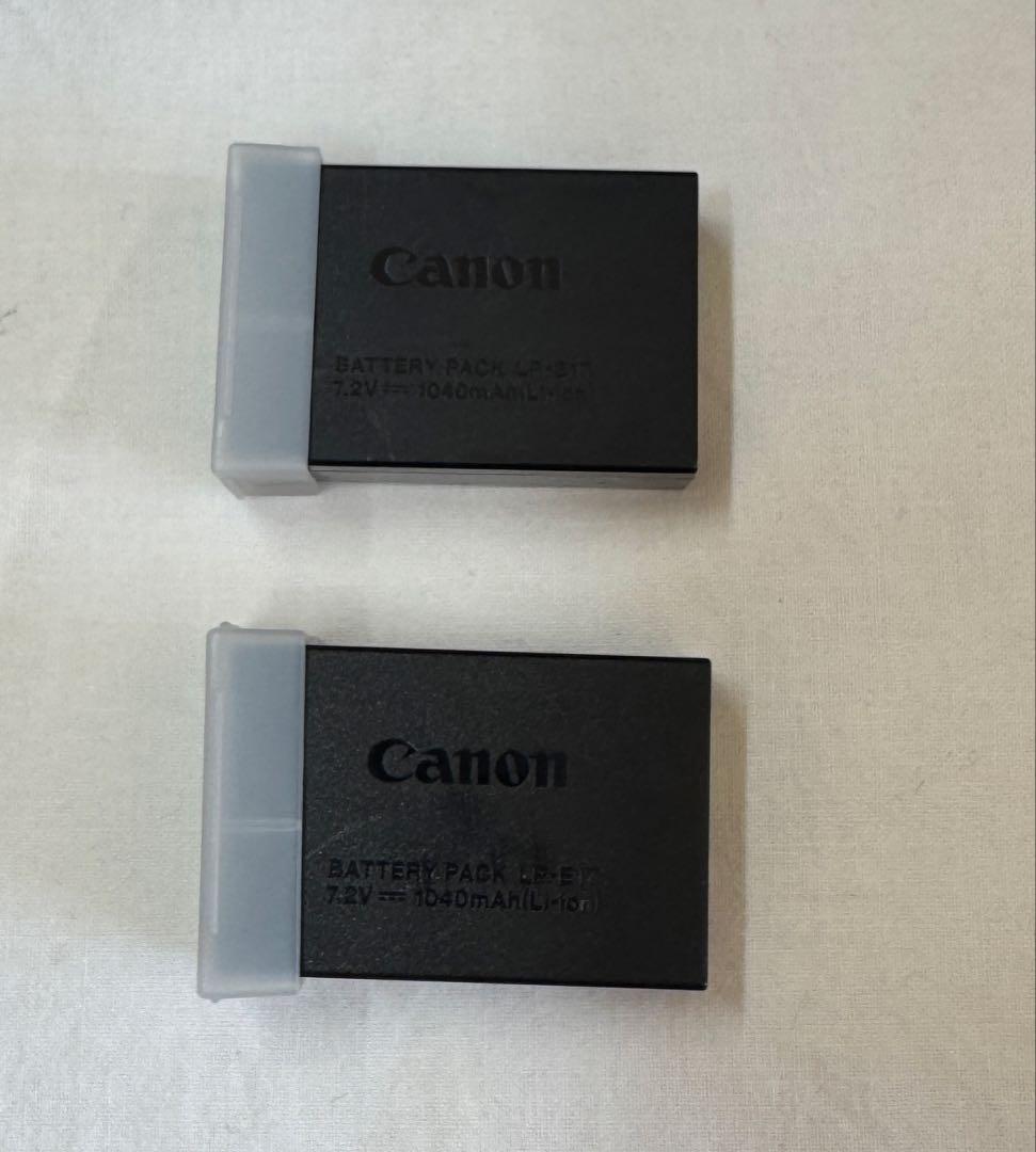 【値引済み】EOSR8とRF24-105 Ｌ　F4