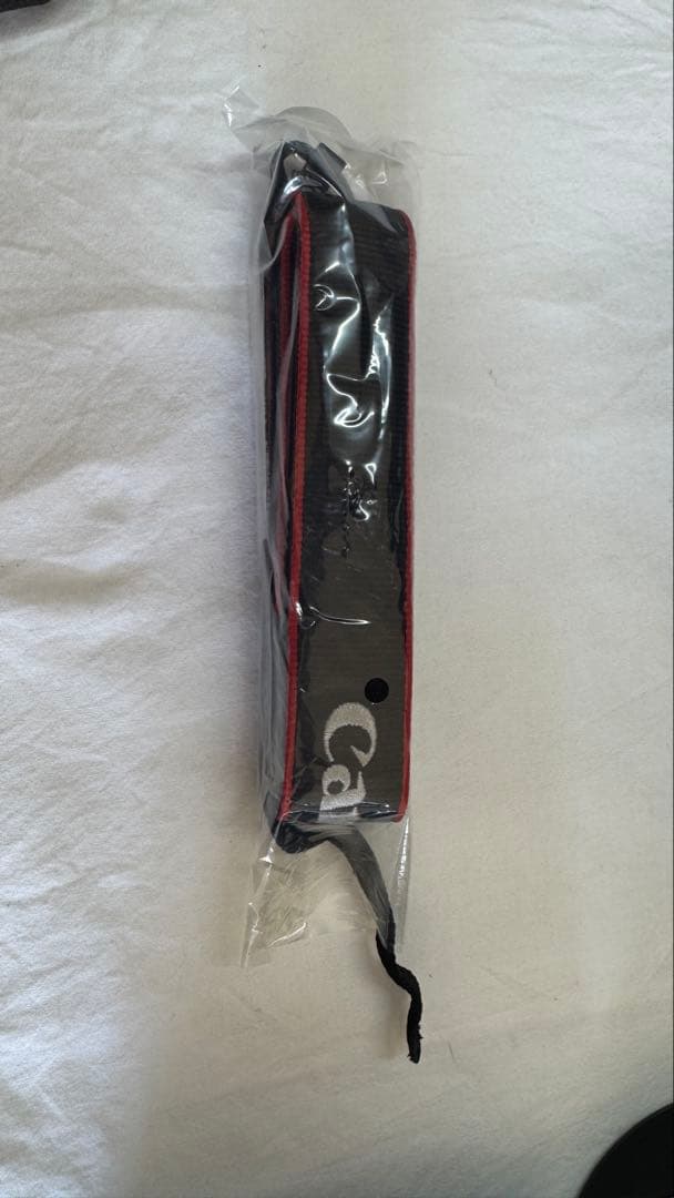 【値引済み】EOSR8とRF24-105 Ｌ　F4