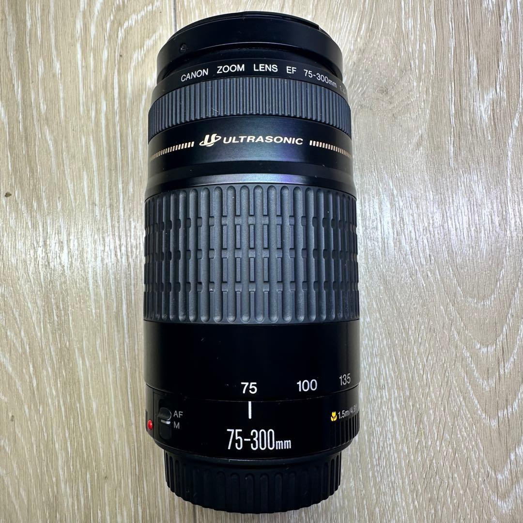 Canon レンズ EF 75-300mm F4-5.6(3)USM