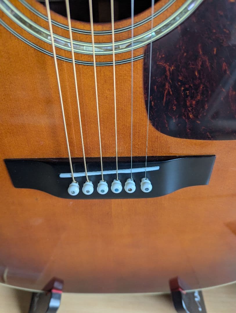 ♪Morris TF-50SP スペシャル・ハカランダ・トップ単板♪