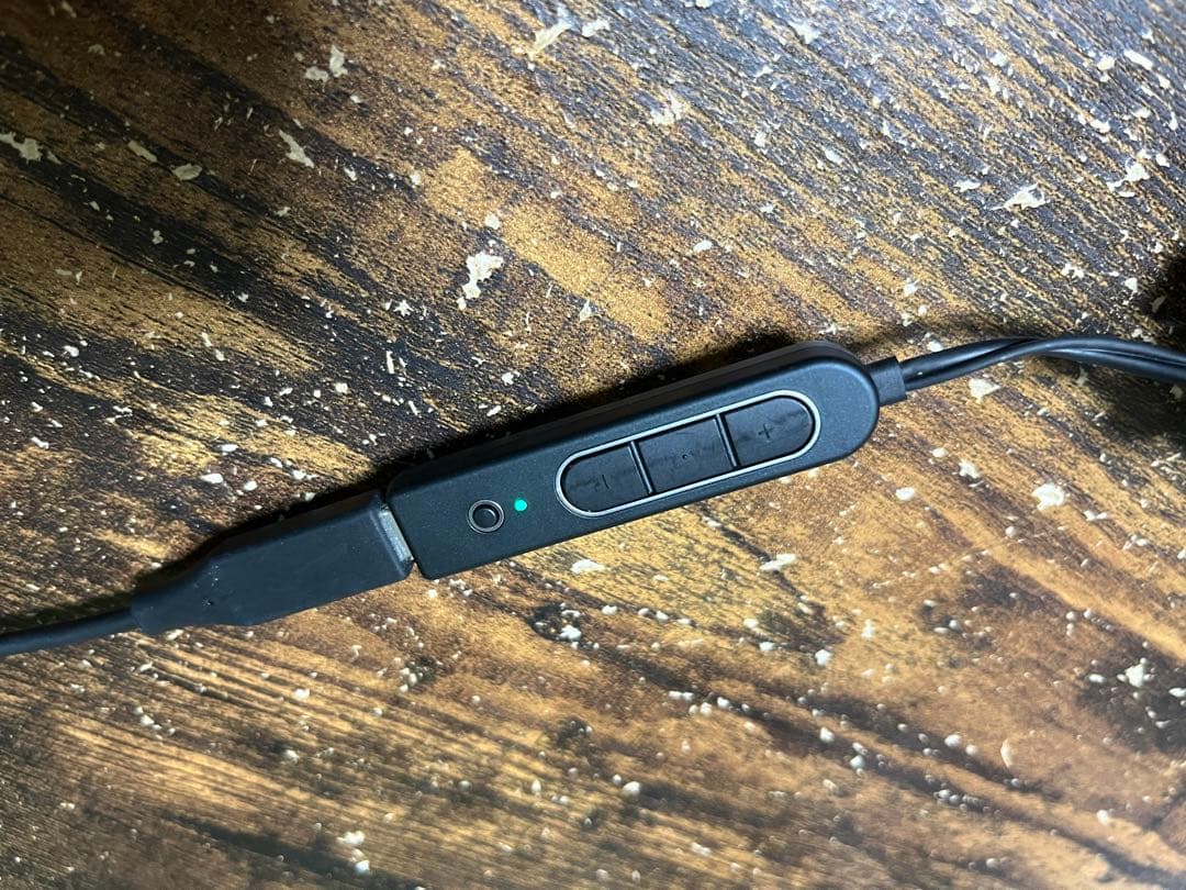 【美品】nwm VoiceBuds イヤホン