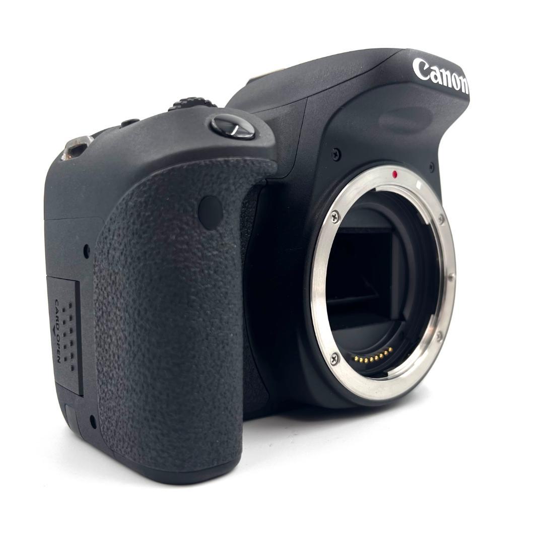 Canon EOS 9000D 標準 望遠 ダブルレンズセット #417