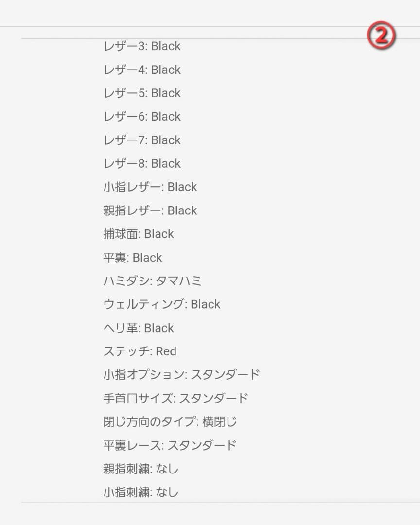 【刀】Nativeシリーズ　カスタムグラブ　左投げ投手用