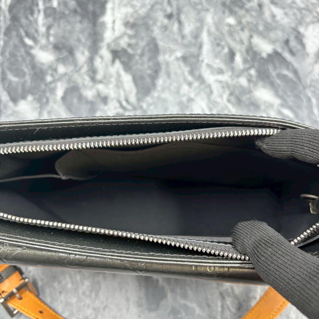 St ✨ルイヴィトン アルストン マット ショルダーバッグ