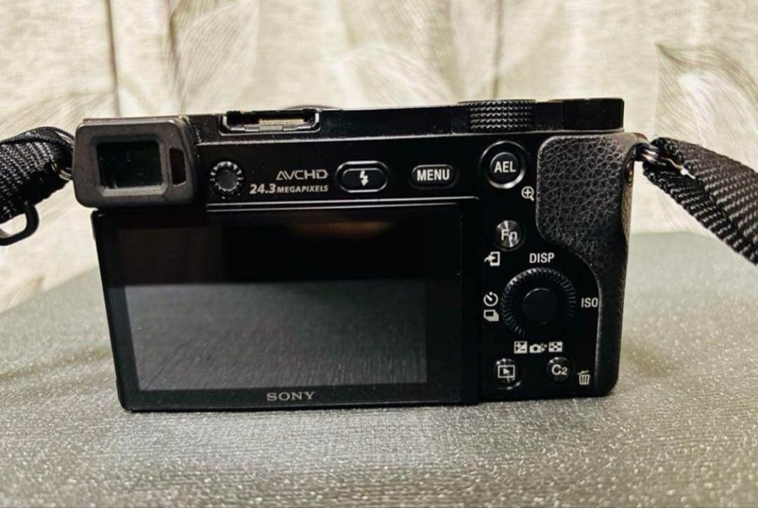 「WAS」SONY α6000 ミラーレス一眼 24.3MP