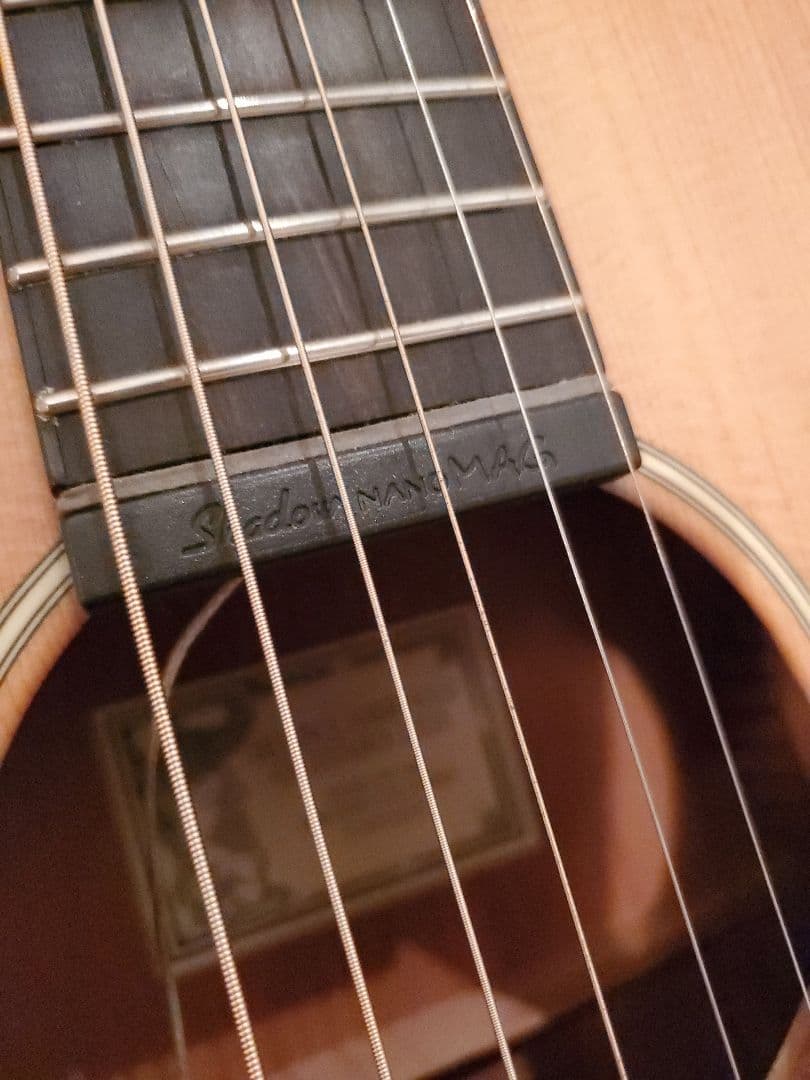 Larrivée パーラー o-01 shadow nano mag付