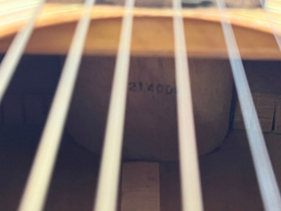 モーリス MORRIS アコースティックギター W20 アコギ