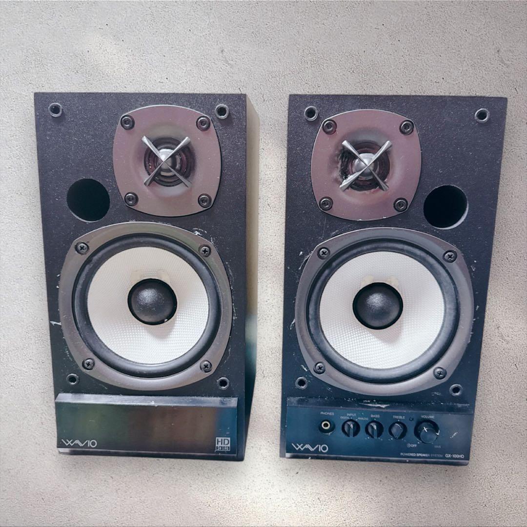 ONKYO オンキョー GX-100HD パワードスピーカー