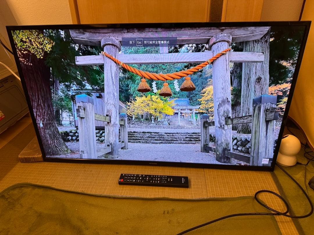 アイリスオーヤマ　IRISOHYAMA　40型　テレビ　40FB10P　超美品